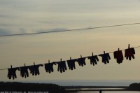 20150524_183650.jpg